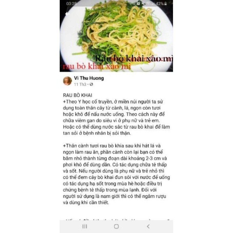 Combo 10 cây rau bò khai