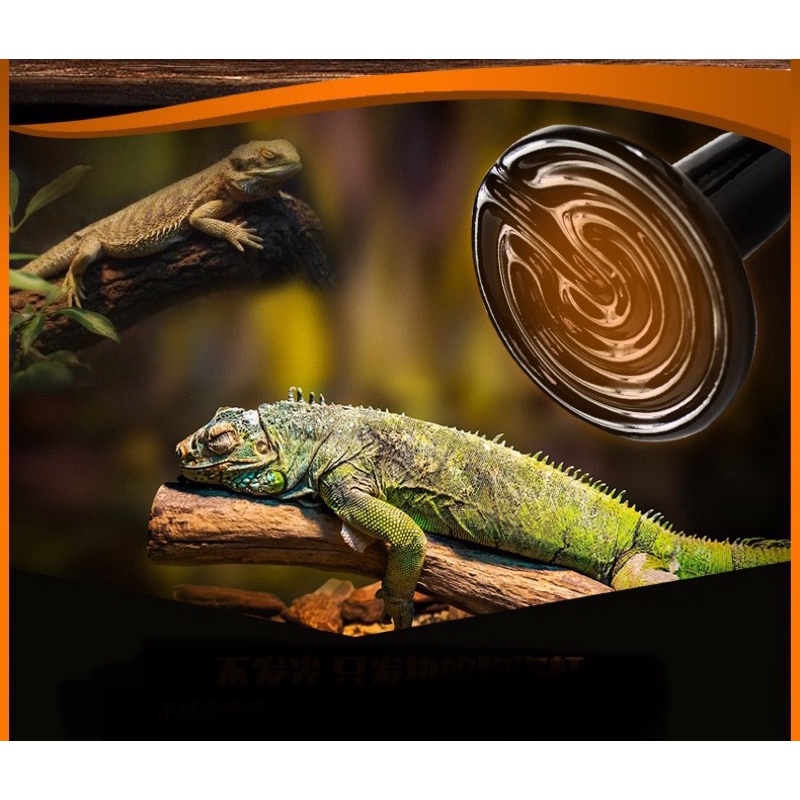 Đèn sưới sứ hồng ngoại xa Nomoy Pet dùng cho thú cưng bò sát