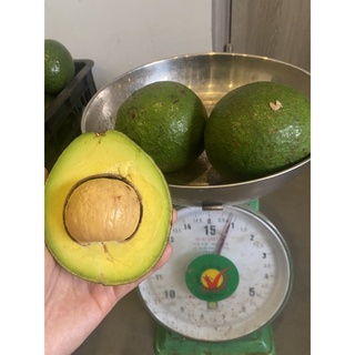 Bơ booth Lâm đồng loại 1