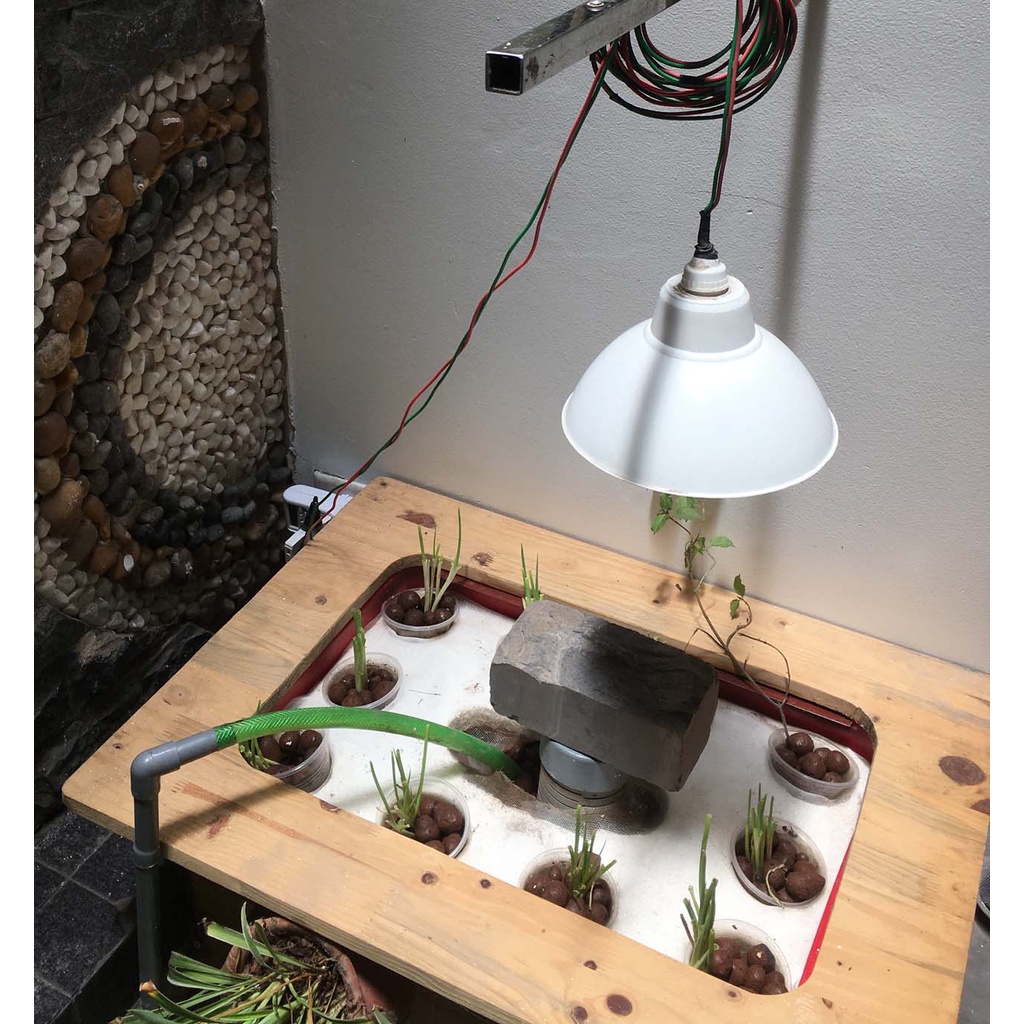 Bộ trồng cây thủy canh aquaponics hoàn chỉnh