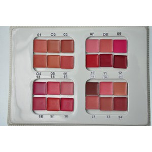 (Hàng Mới Về) Son Môi Trang Điểm Màu Sắc Quyến Rũ Thời Trang | BigBuy360 - bigbuy360.vn