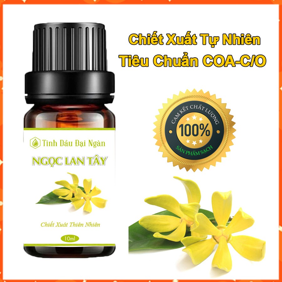 Tinh dầu ngọc lan tây thơm phòng hương thiên nhiên 10ml Đại Ngàn