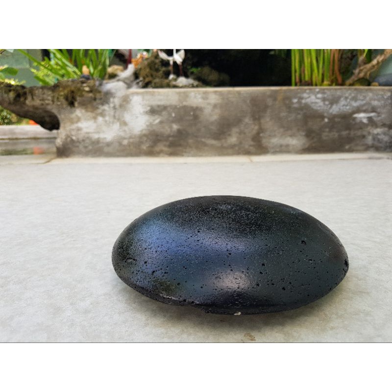 Nấm che hút đáy bể cá