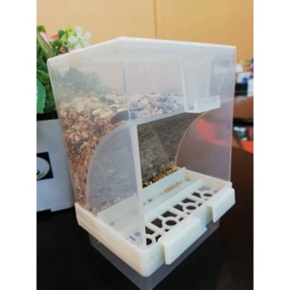 Hộp đựng thức ăn chống vảy