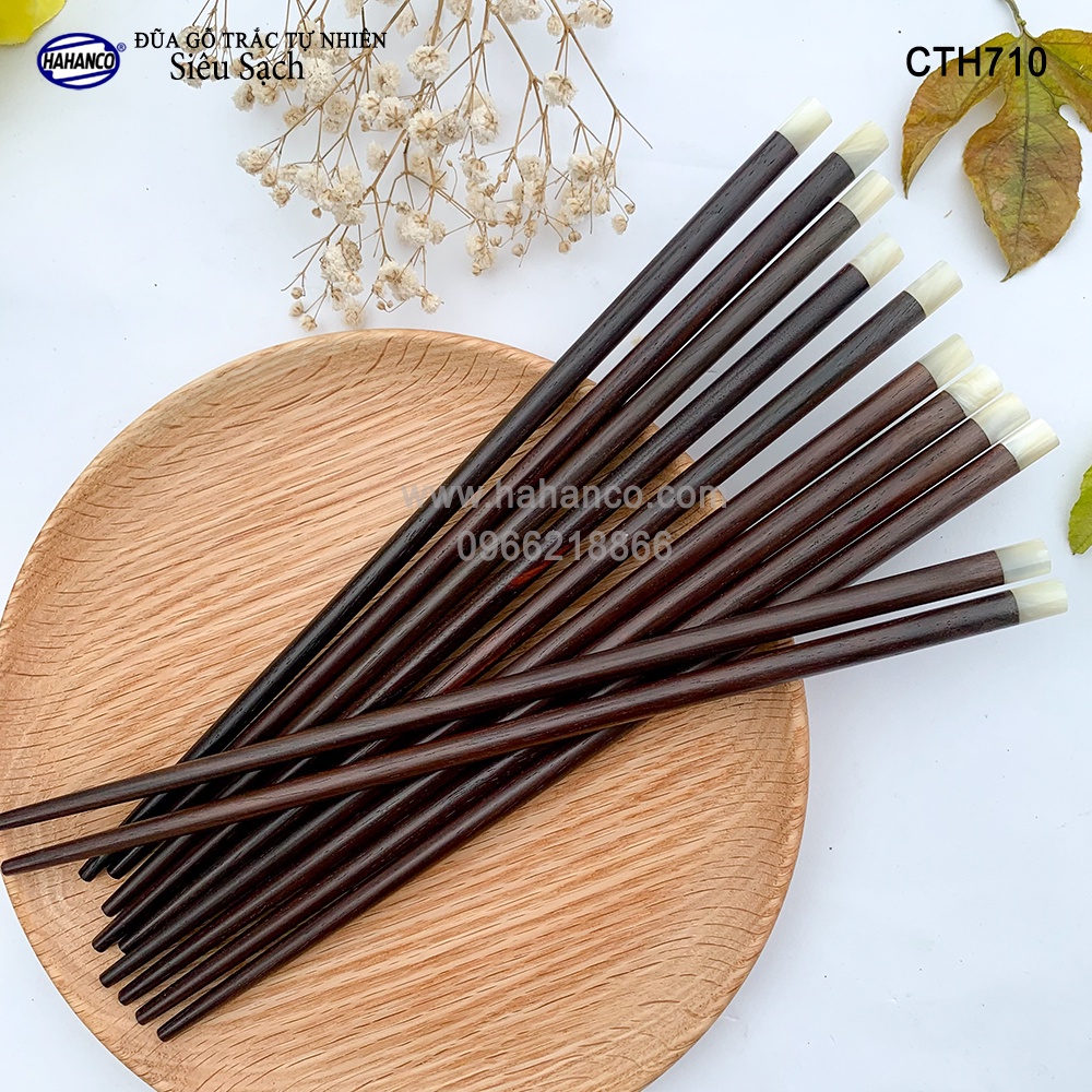 Đũa gỗ Trắc Đầu 1cm Ốc Biển New Zealand Cao Cấp HAHANCO (Hộp 10 đôi) Siêu Sạch- CTH710