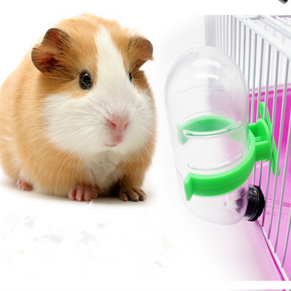 Bình uống nước cho thỏ/chuột Hamster 80 / 125 / 250ml tùy chọn
