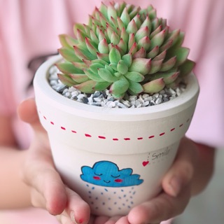 Sen đá và chậu vẽ size 9cm