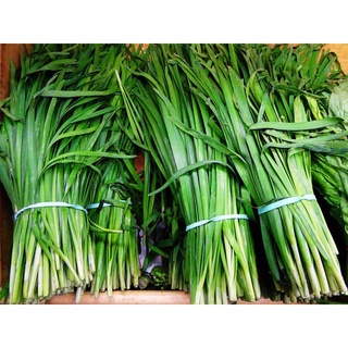 HẠT GIỐNG RAU HẸ TA  5gr