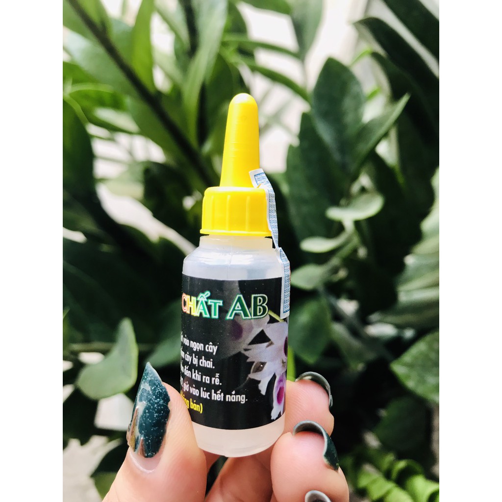 Dưỡng chất AB - Nuôi dưỡng mầm hoa (10ml)