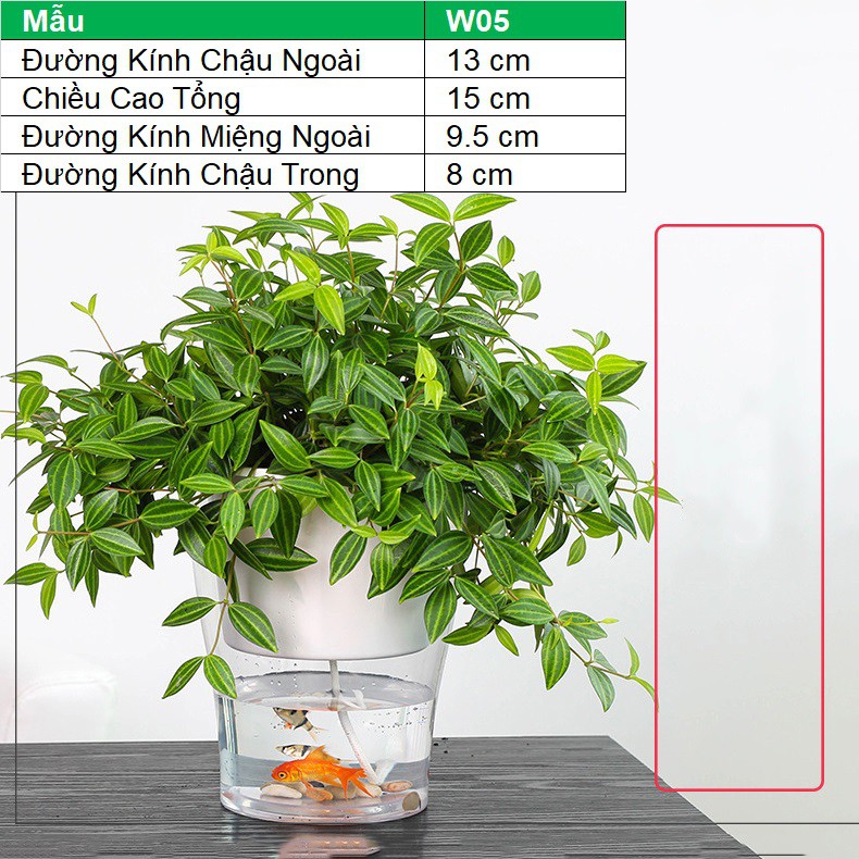 Chậu 2 lớp trồng Hoa Cây cảnh để bàn W05, Bể 2 đáy chứa nước nuôi cá, Cốc trồng cây tự hút nước