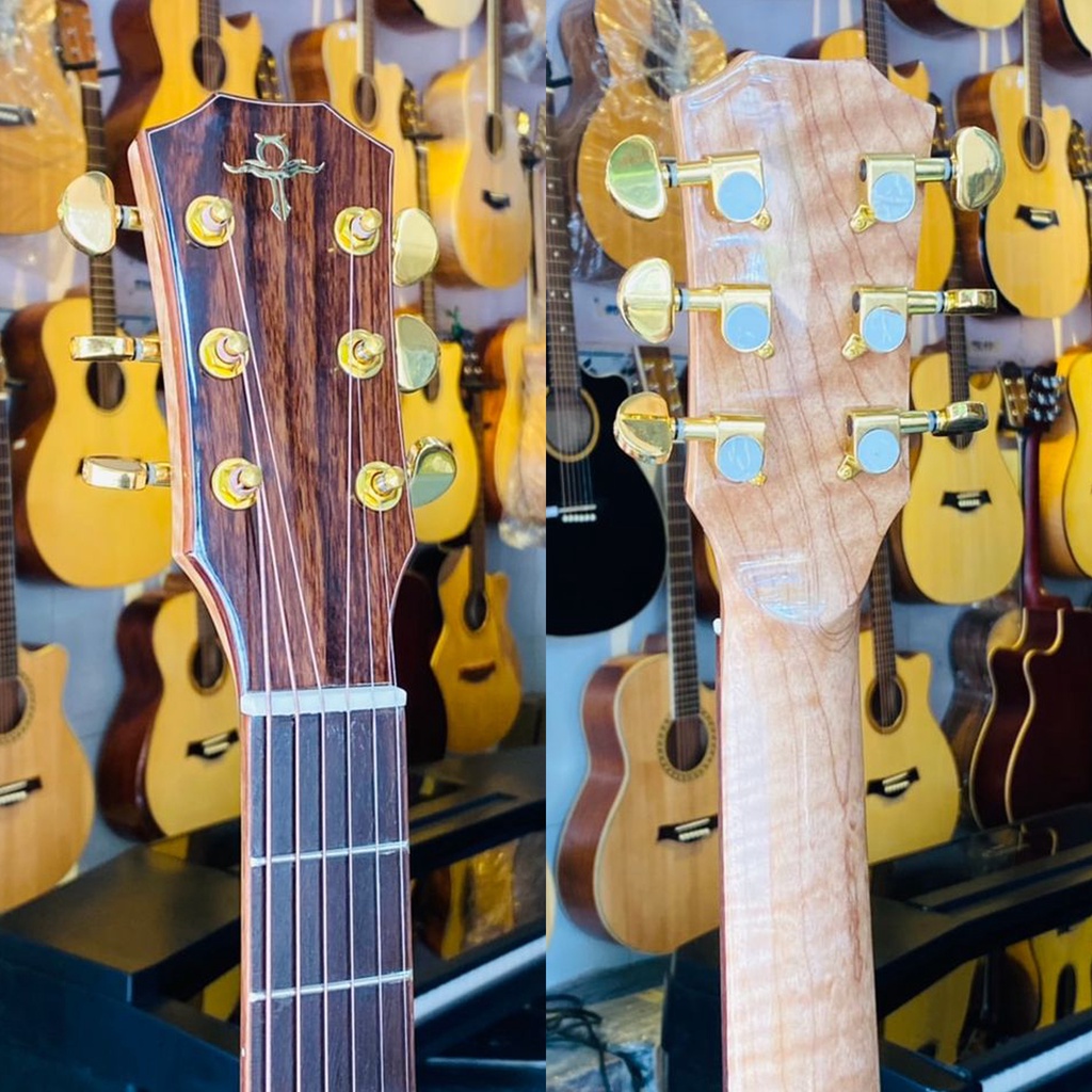 Đàn Guitar Acoustic TS36 - Gỗ Điệp kỹ - Khoá Gold - Guitar Trần nổi tiếng