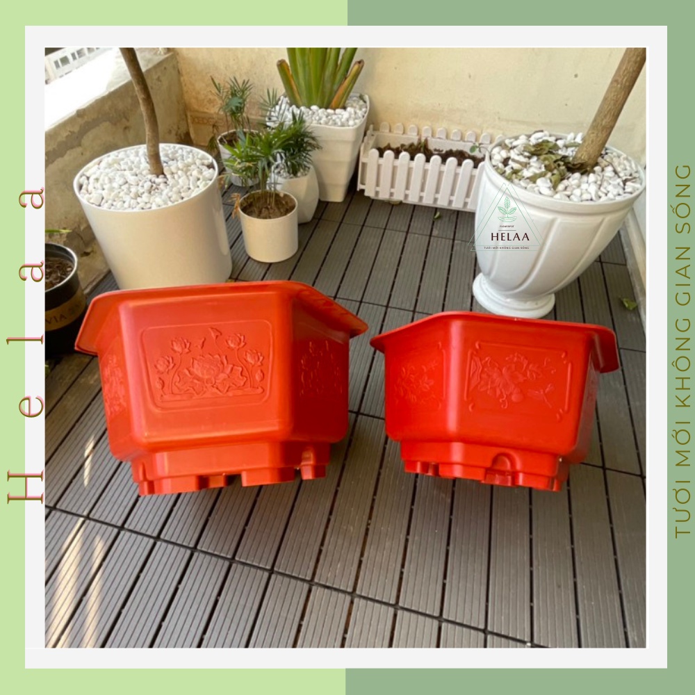 Chậu Nhựa Trồng Cây Lớn Lục Giác Đế Cao, Chậu Cây Cảnh To, Trồng Cây Hoa, Trong Nhà, Sân Vườn - Truyền Thống, Hiện Đại