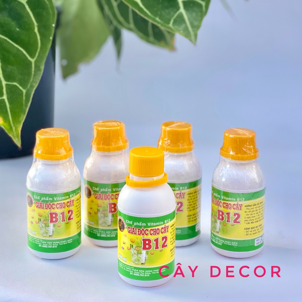 B12 giải độc cho cây [HÀNG CHUẨN] chai tiện lợi 100ml