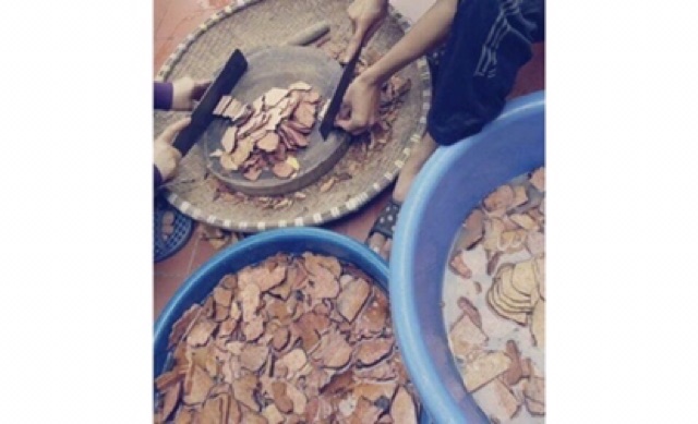 Hà thủ ô( tẩm Sa nhân, đậu đen, sinh khương) | BigBuy360 - bigbuy360.vn