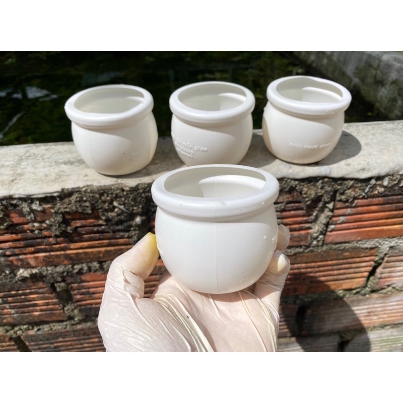 Combo 5 hủ đựng cây thuỷ sinh