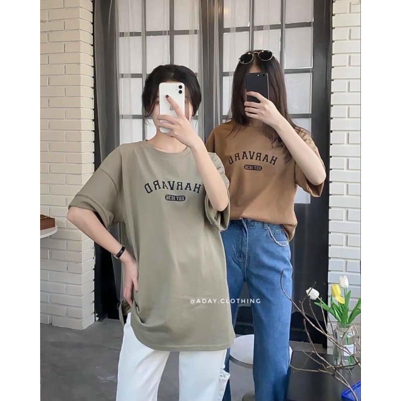 ÁO Thun HARVARD 3158 Chất Cotton Tuyết Nhung Samsam4896