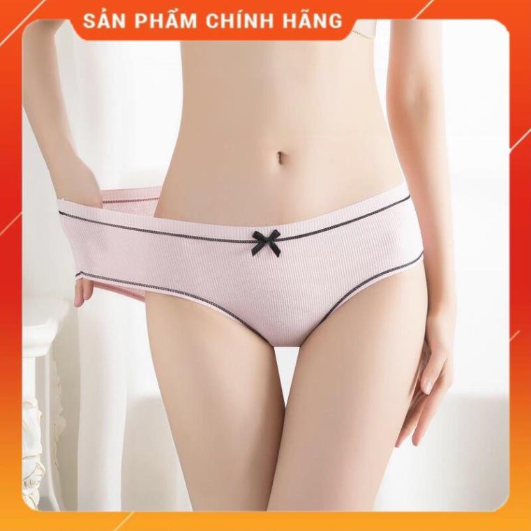 Quần Lót Cotton Tăm Viền Kẻ Phối Nơ Cao Cấp 028
