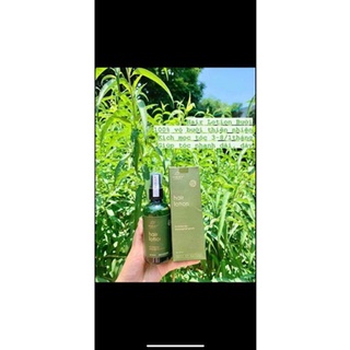 Tinh dầu xịt bưởi vi Jully