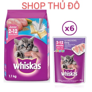 Combo thức ăn mèo con và pate mèo con