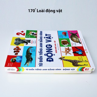 Tiếng Anh Bằng Hình - Động Vật
