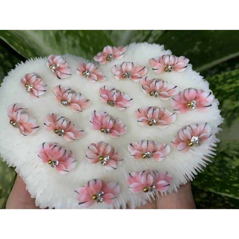 Hoa bột  gắn móng chân và tay hoa góc nail