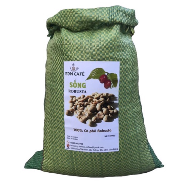 [SIÊU SẠCH] 5Kg Cà Phê Robusta 2019 Nhân Sống Chưa Rang, Không Tạp Chất, Không Hạt Mốc - BDN Coffee