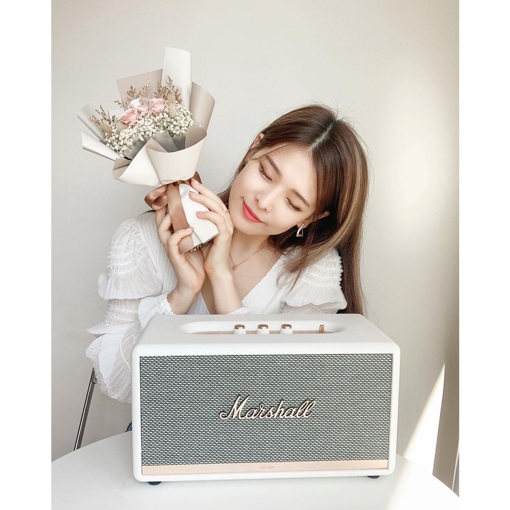 Loa Bluetooth Marshall Stanmore 2 mới 100%