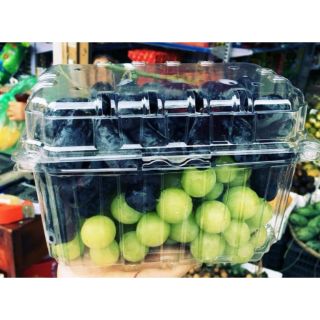 10 Hộp nhựa đựng hoa quả nhập khẩu loại 1kg
