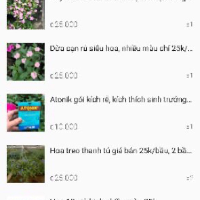 Combo cho khách chỉ 300k