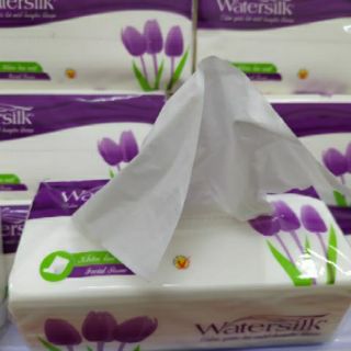 Khăn giấy WATERSILK  100 tờ, 200 tờ, 250tờ