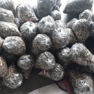 Combo 5 kg an xoa