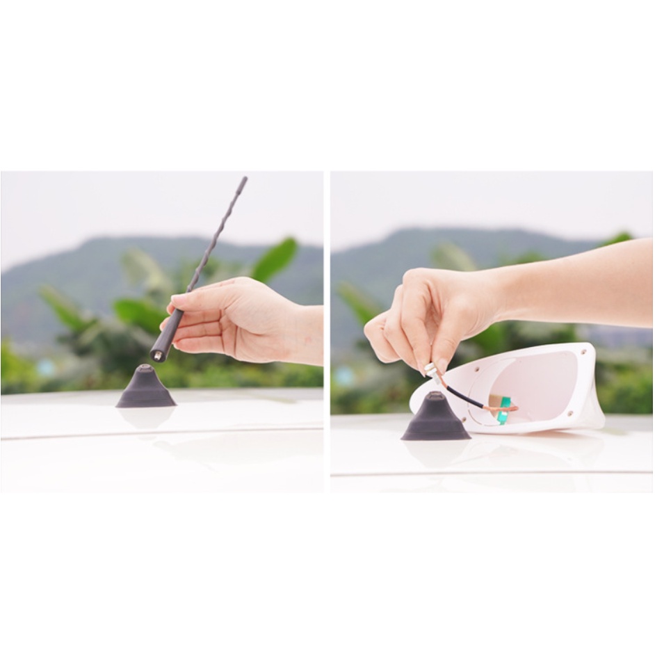 vây cá angten ô tô - Vây cá mập thể thao nắp trên ô tô