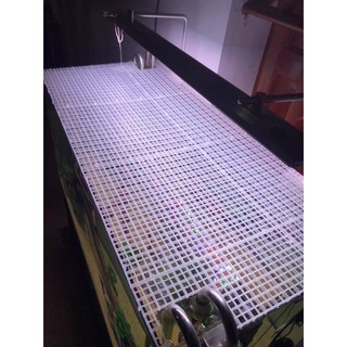Combo vách ngăn 30x30cm bể cá