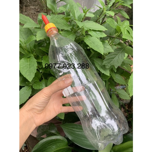 Núm bú sữa silicone lắp chai nhựa cho dê cừu bê heo lợn chó mèo