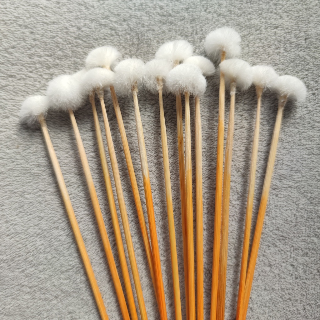 Combo 5 Cây Bông Ngoáy Tai Bông Xoay Tai Làm Sach Tai Cao Cấp