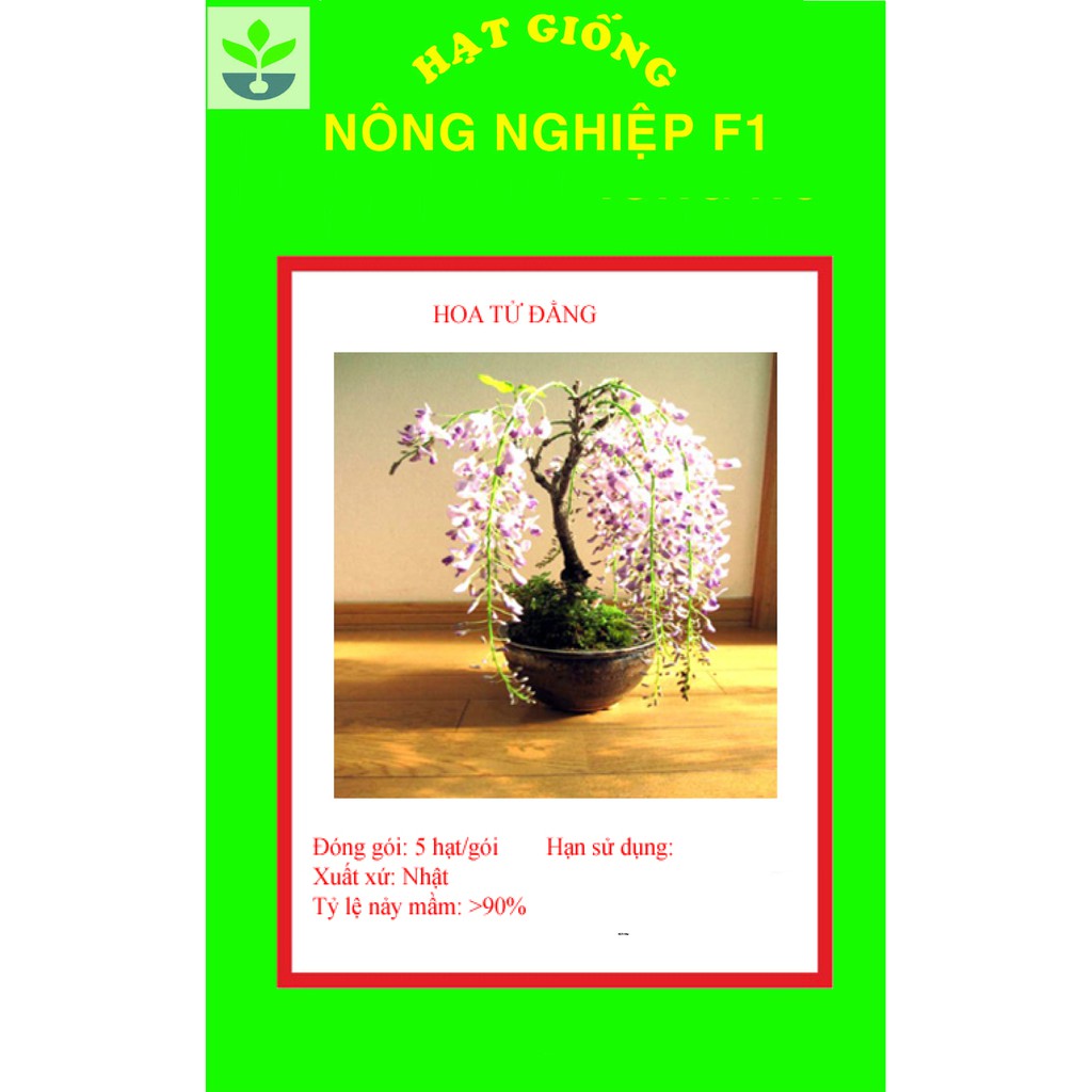 Gói 5 hạt giống tử đằng