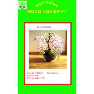 Gói 5 hạt giống tử đằng