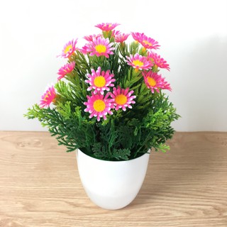 Chậu cây giả, hoa giả trang trí HITA - đẹp, cao cấp, giá rẻ - để bàn phòng khách, phòng làm việc - MAGNUM