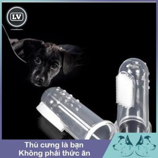 Bàn chải đánh răng xỏ ngón cho chó mèo Phụ kiện Long Vũ