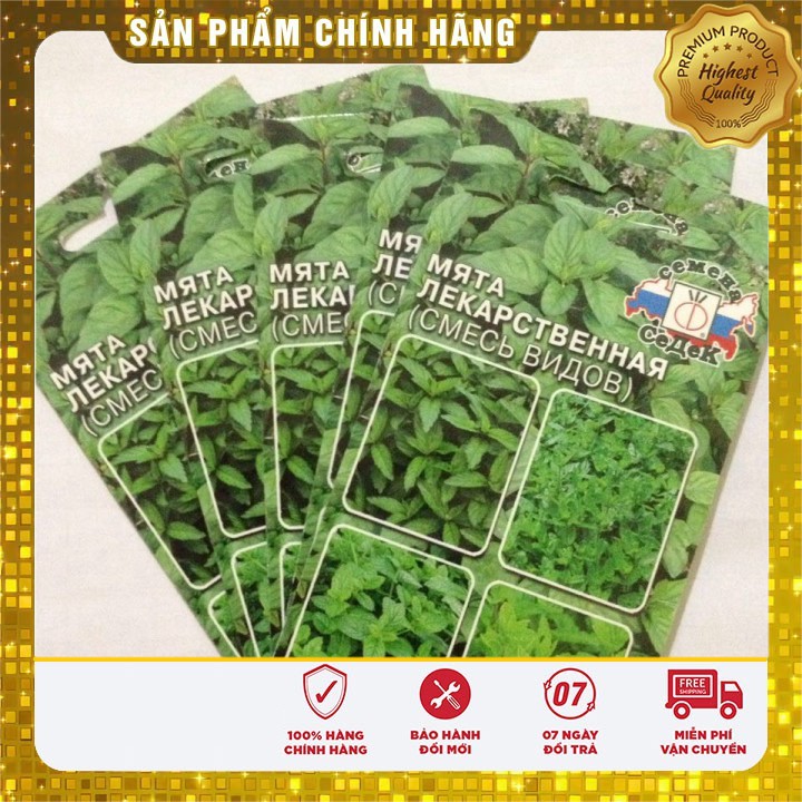 HẠT GIỐNG BẠC HÀ MINT (LUCKY SEED)