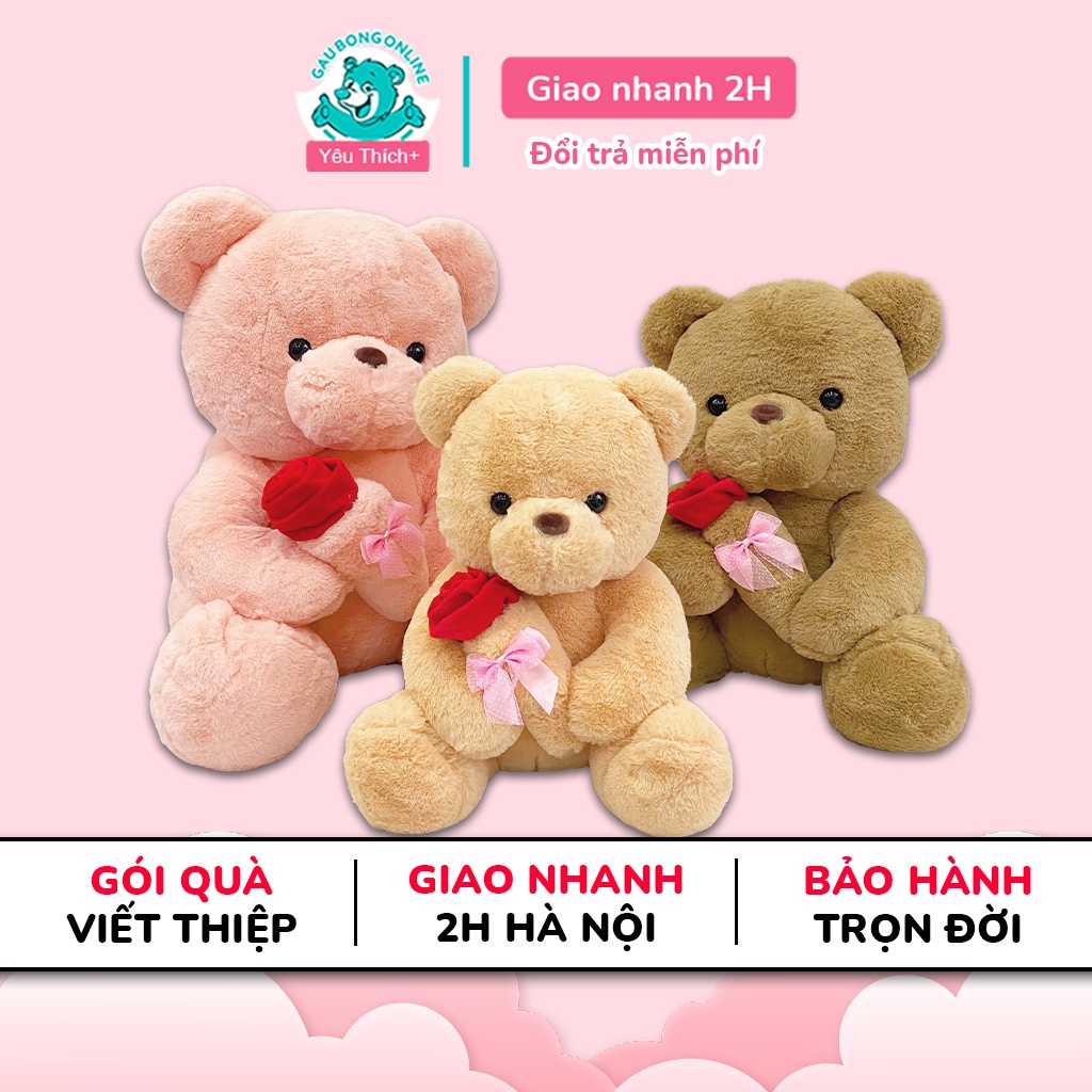 Gấu Bông Teddy Ôm Hoa Đáng Yêu Quà Tặng Dễ Thương Gấu Bông Online