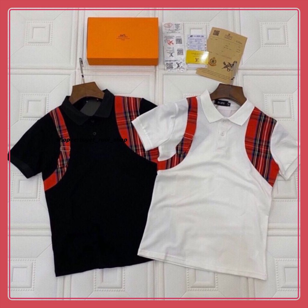Áo polo #mcq phối màu mớii