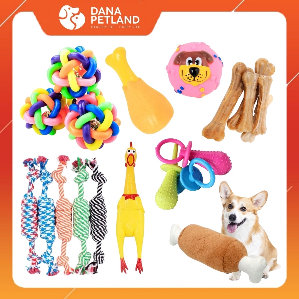 Đồ Chơi Cho Chó Mẫu Mới