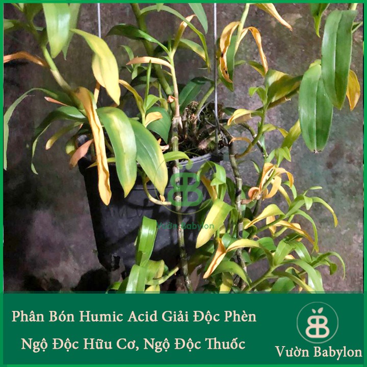 Phân Hữu Cơ Acid Humic Kích Rễ, Cải Tạo Đất Nhập Khẩu Mỹ 250Gr