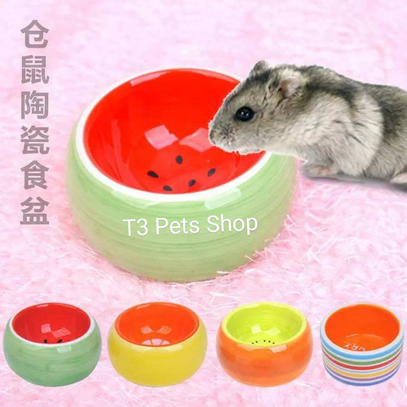 chén sứ nhỏ hình kiwi , cam , dưa hấu, vòm cho hamster