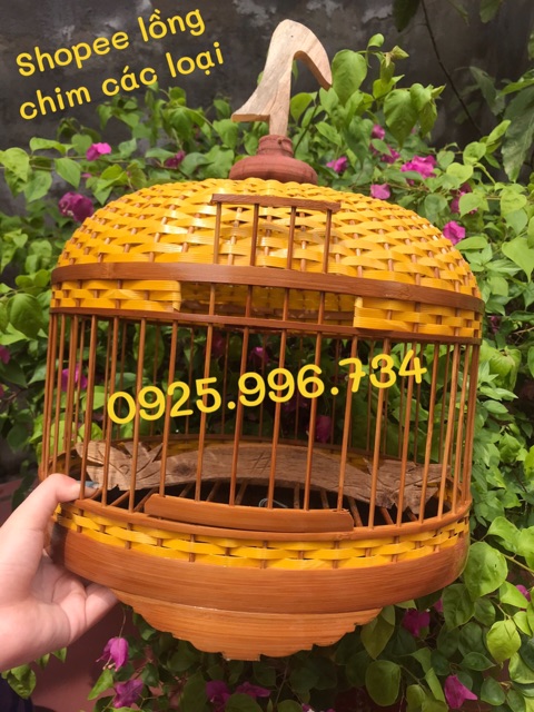 LỒNG CU GÁY ĐAN