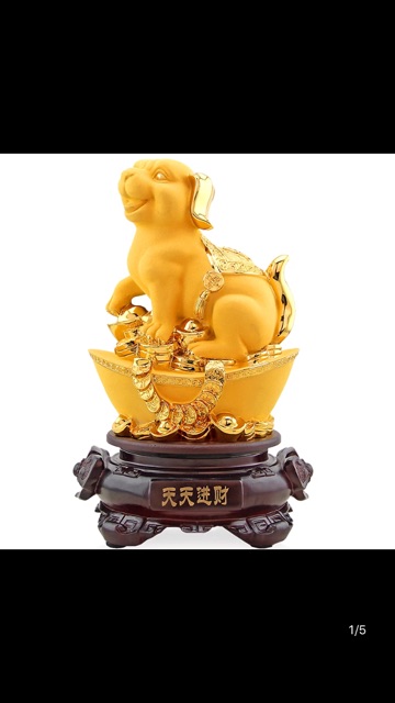 Chó vàng đáng yêu 160