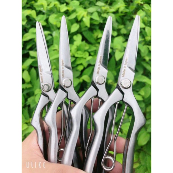 Kéo tỉa răm và cắt cành thép trắng không hoen rỉ