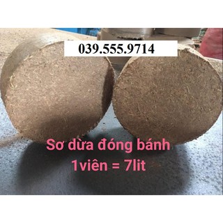 2 Bánh xơ dừa trồng cây, ươm cây dạng viên nén đã qua xử lý