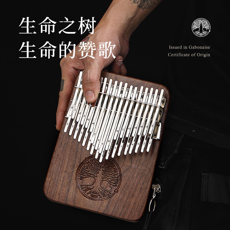 Nhạc Cụ Đàn Kalimba Hai Lớp Độc Đáo Tiện Dụng Cho Người Mới Bắt Đầu